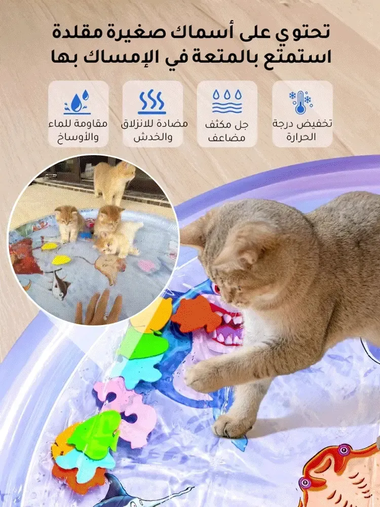 imgi_5_eb7959d630238766ebae94330081dc500f6e288aa4d826e3a6dc615e4daa0838