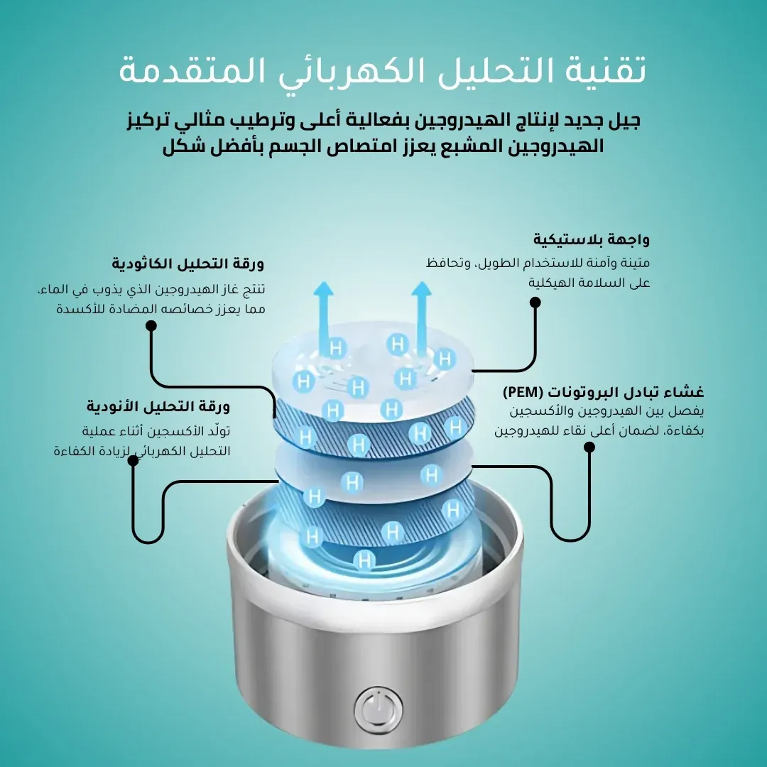 imgi_166_9_2462ecd9-b507-4464-8056-4548401a0cd3