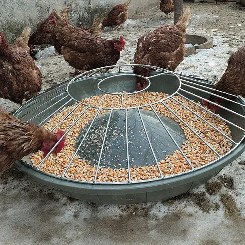 imgi_12_spp_shopify20250915144608_431b89f30cf3dd6842f0ae691d67c3d9