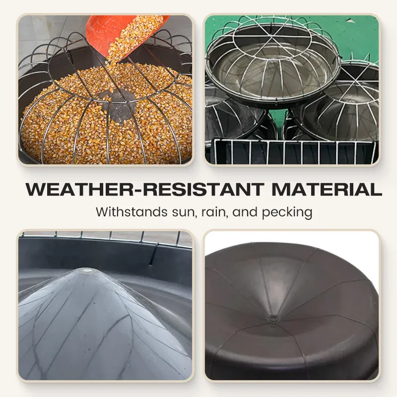 imgi_13_spp_shopify20250915144613_29ae3ba620e5e796a41ef4349ea8dbfa