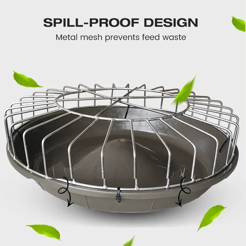 imgi_15_spp_shopify20250915144623_423a669d212e399f7d43bee7751d60e5