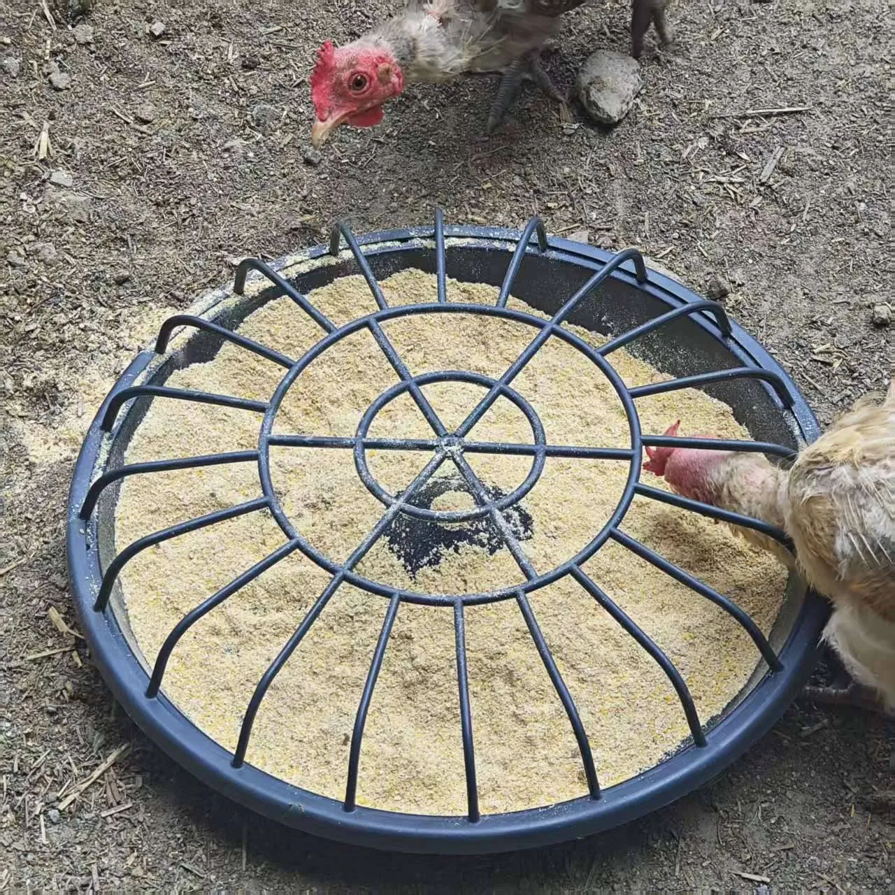 imgi_2_475d07a329c144d8ae54e4c219173ed2