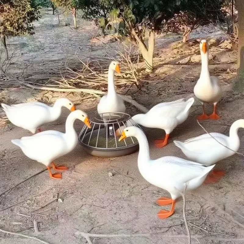 imgi_6_478960784c834366a2bfe3f11b7e890c