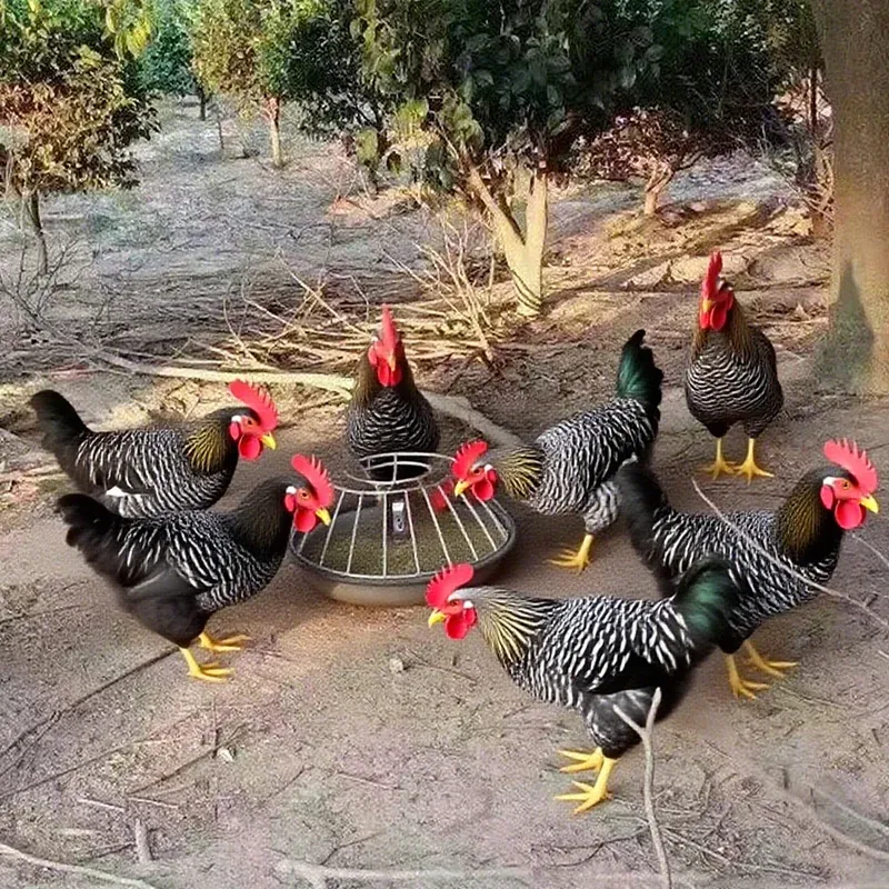 imgi_7_a542c0c53fea4d6b9dfb287f30943233