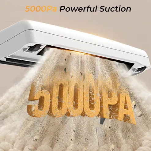 imgi_90_3_6d2e9727-997e-4a9d-aeb5-cf866ab845de