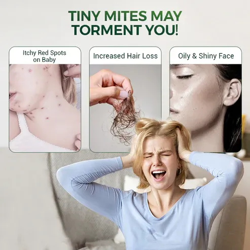 imgi_59_2_d4cd8ce8-f61e-4e26-a3c7-07bfb1c90d7c