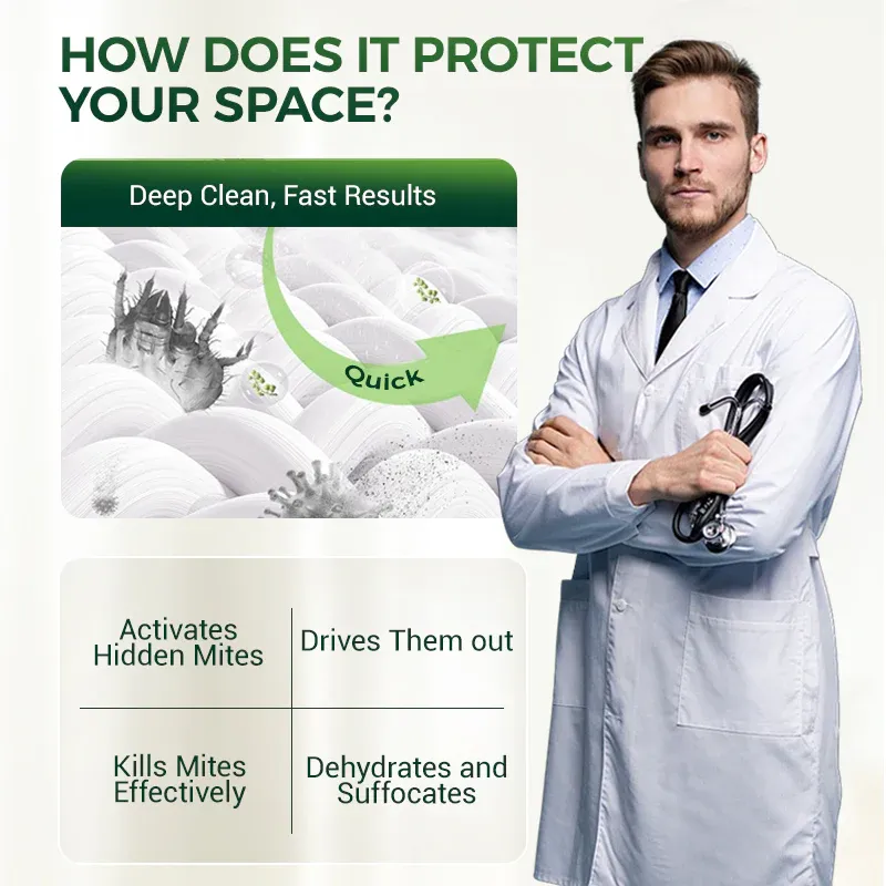 imgi_5_4_66d05355-dc38-404e-9364-568b18b64314