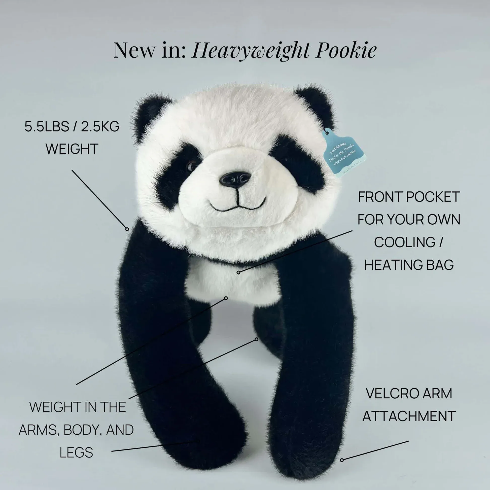 imgi_4_PandaImages_5_1